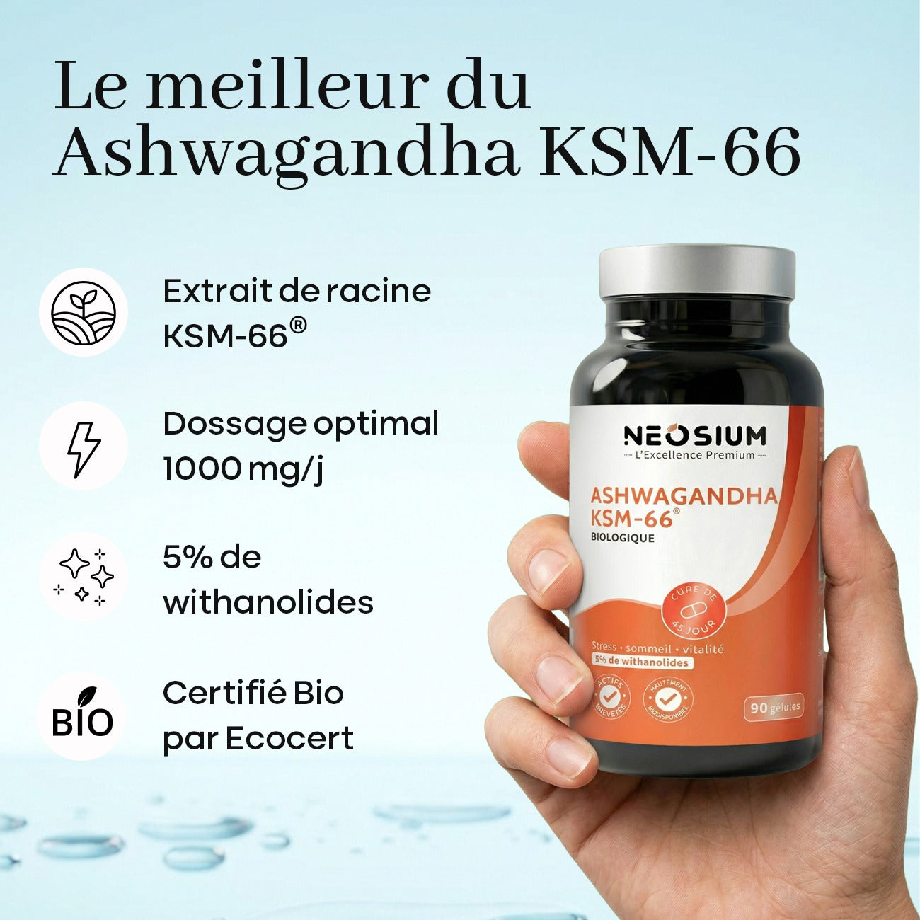 Ashwagandha KSM66 – 90 capsules