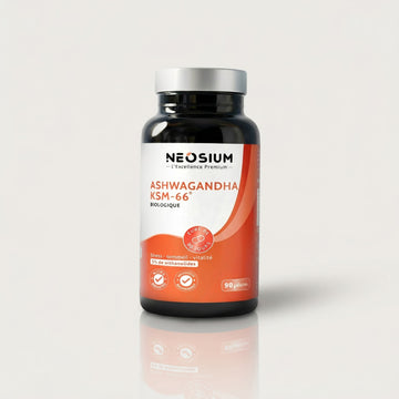 Ashwagandha KSM66 – 90 gélules