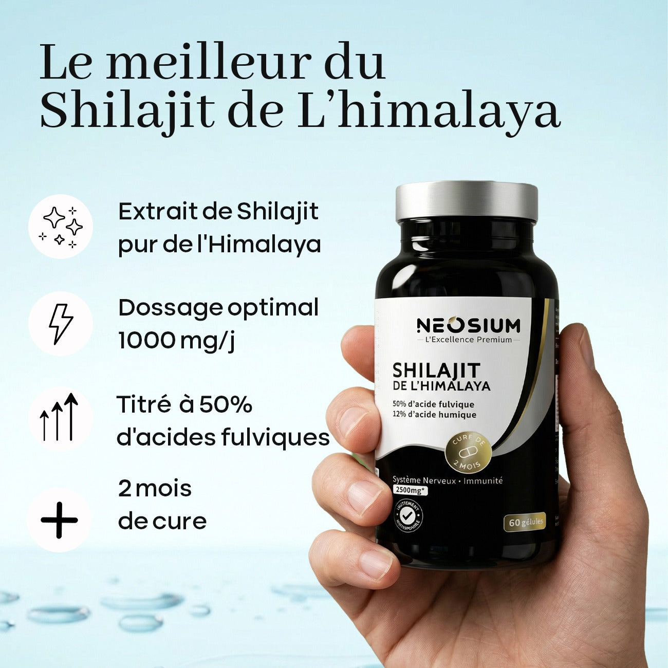 Shilajit – 60 capsules
