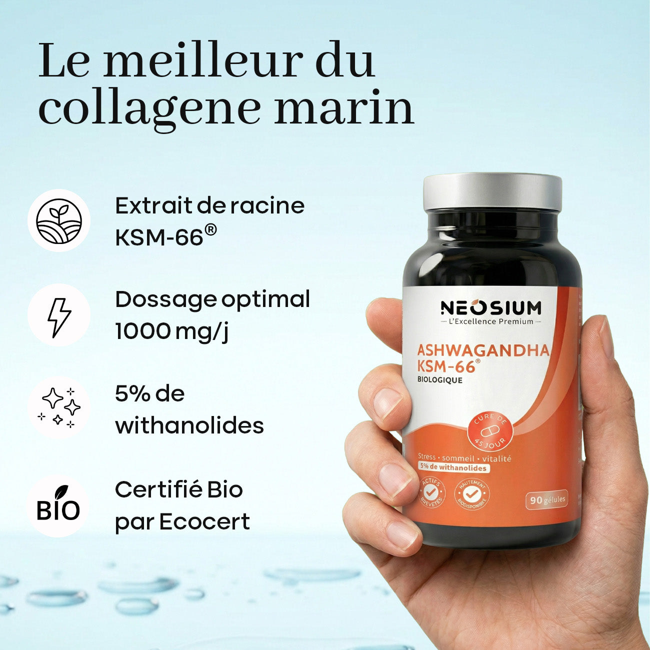 Ashwagandha KSM66 – 90 gélules