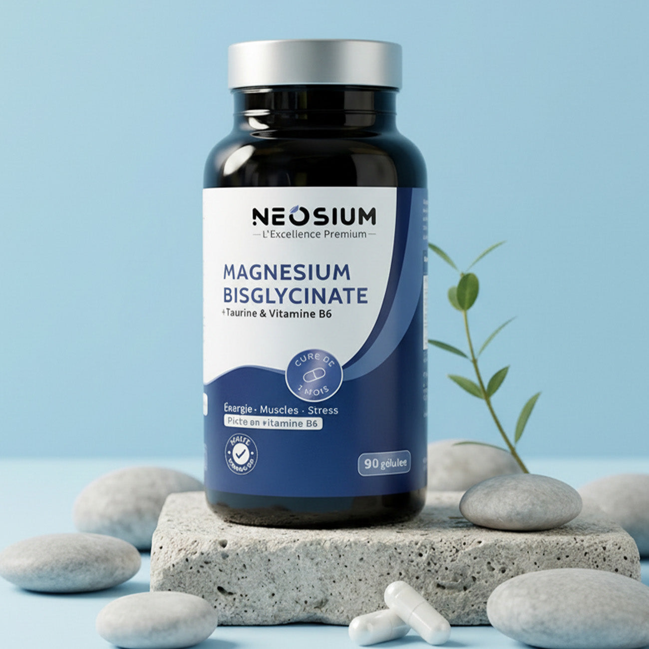 Bisglycinate de magnésium – 90 gélules