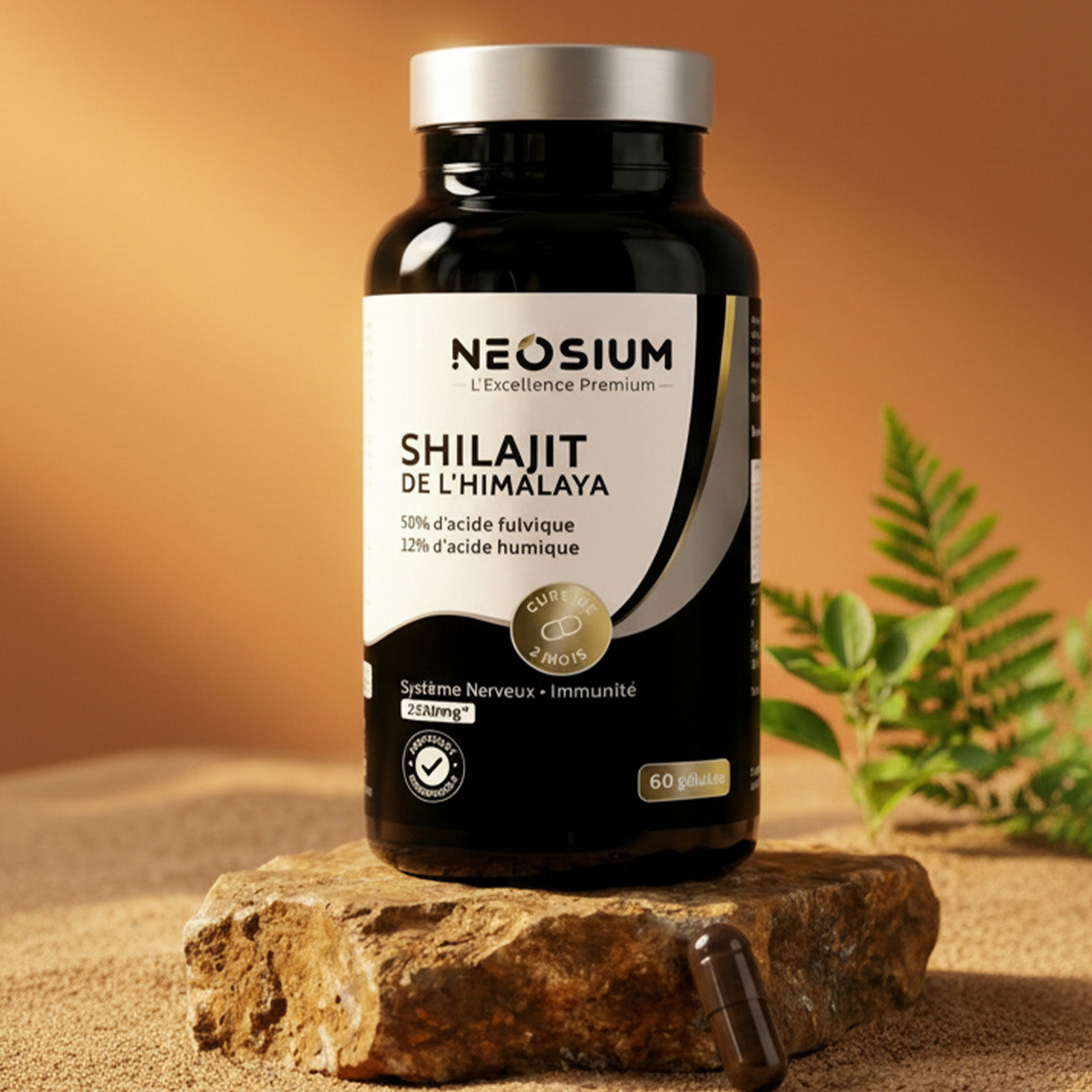Shilajit de l'Himalaya Pur – 50% Acide Fulvique, 12% Acide Humique – 60 capsules NEOSIUM