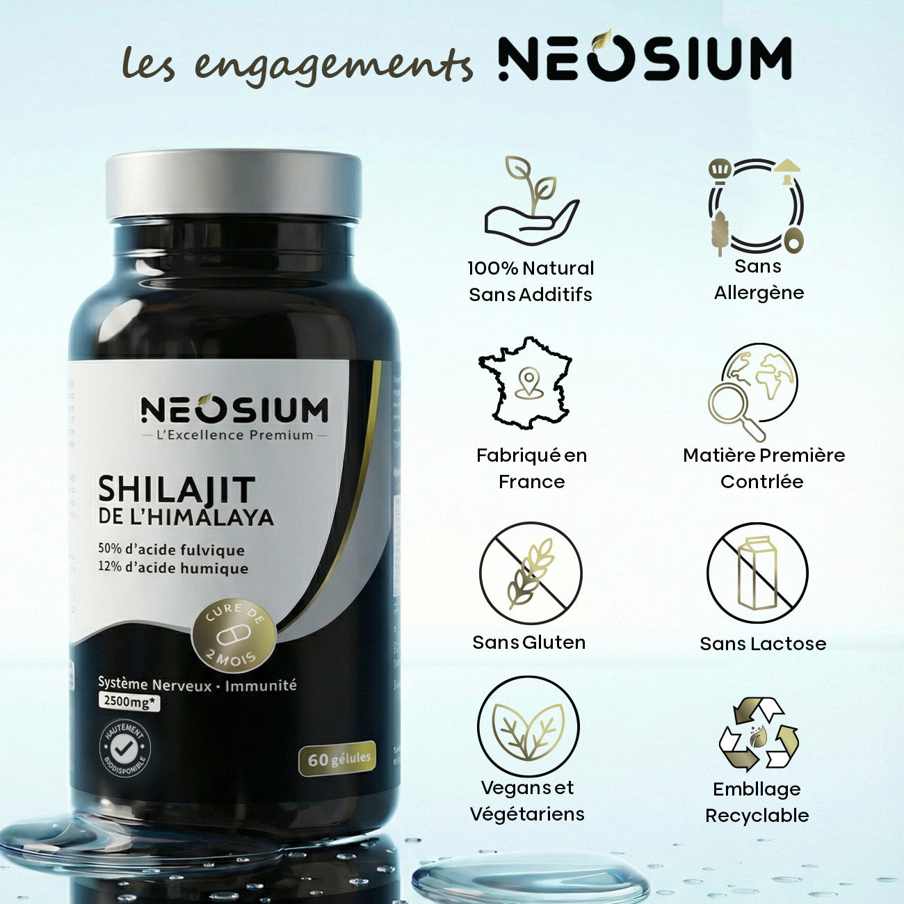 Shilajit – 60 gélules